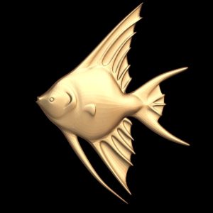 Fish. Angelfish 3D STL Model