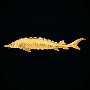 3D STL Model for CNC and 3d Printer - Bas-Relief "Sturgeon"