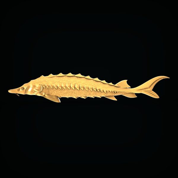 3D STL Model for CNC and 3d Printer - Bas-Relief "Sturgeon"